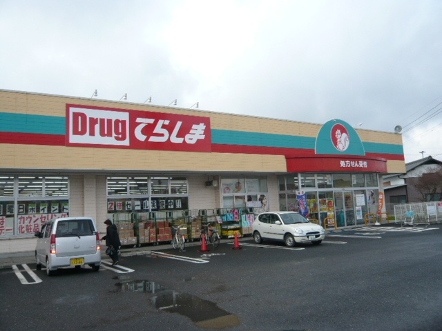 Dorakkusutoa. Drag Terashima Tsukubamirai Ina shop 1624m until (drugstore)