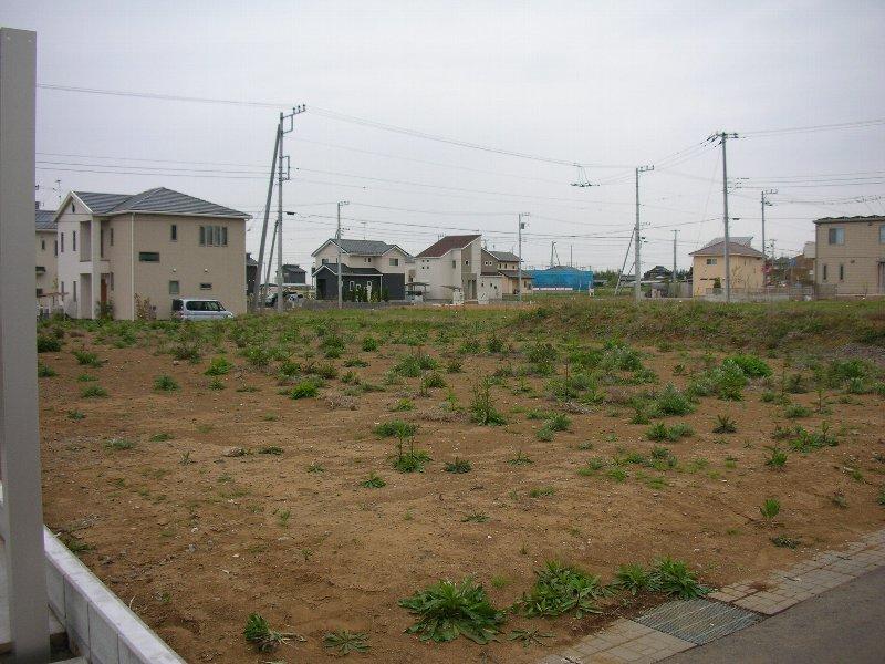 Local land photo