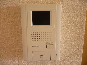 Other. Monitor with intercom of peace of mind. 