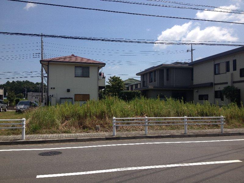 Local land photo