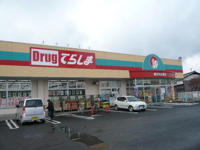 Drug store. Drag Terashima Tsukubamirai to Ina shop 272m