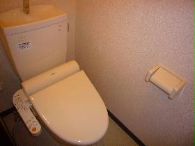Toilet. It comes with a popular warm water cleaning toilet seat!