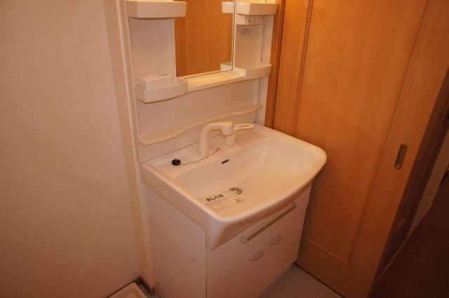 Washroom. Washbasin with shower