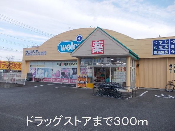 Dorakkusutoa. Uerushia 300m until Kamikashiwada store (drugstore)