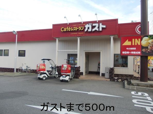 restaurant. Gust Kashiwada to the store (restaurant) 500m