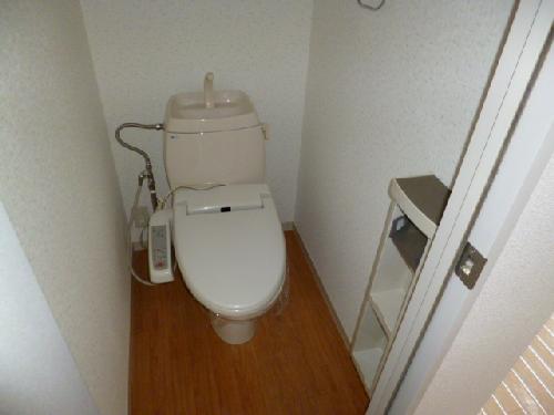 Toilet. Toilet