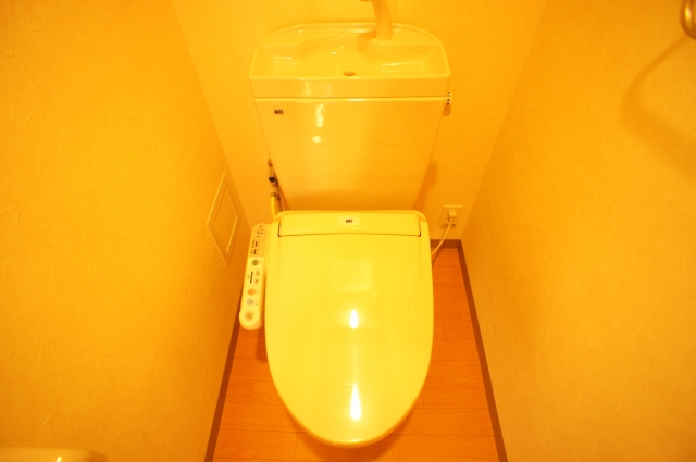 Toilet. Washlet equipped
