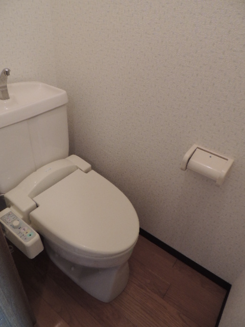 Other. Bidet with toilet