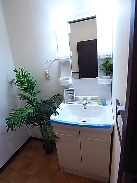Washroom. Dedicated wash basin