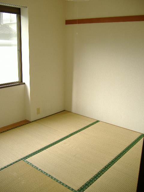 Other room space. Bright Japanese-style room