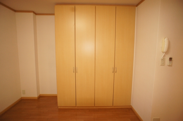 Living and room. Large closet equipped