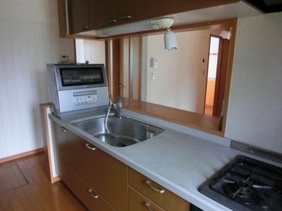 Kitchen. Interior