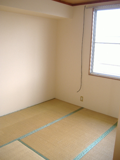 Other room space. Japanese style room