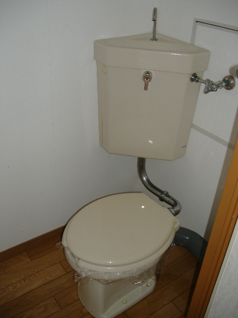 Other. Western-style toilet