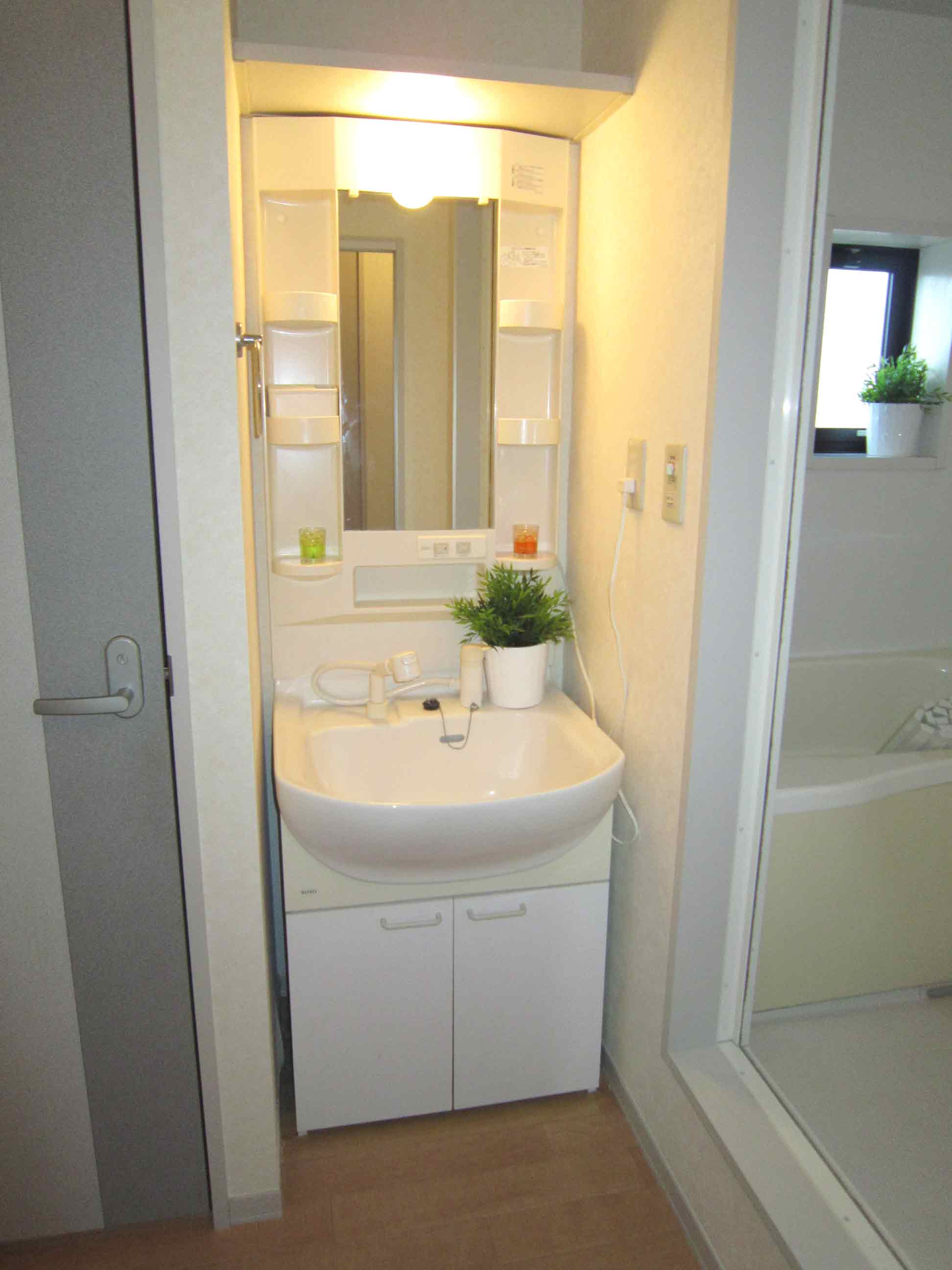 Washroom. Bathroom vanity