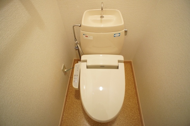 Toilet. Bidet