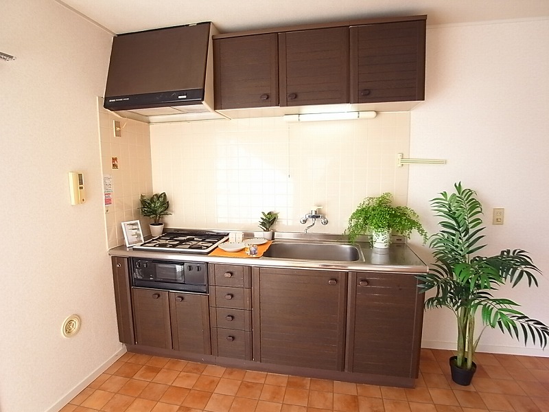 Kitchen. 3-burner stove system Kitchen