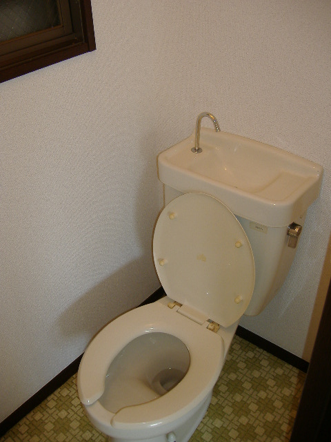 Other. Western-style toilet
