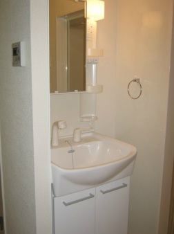 Washroom. Washbasin with shower