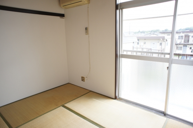 Living and room. South-facing bright Japanese-style