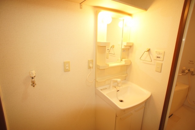 Washroom. Washbasin with shower