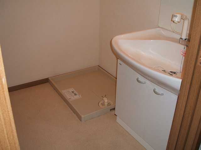 Washroom. Indoor Laundry Storage