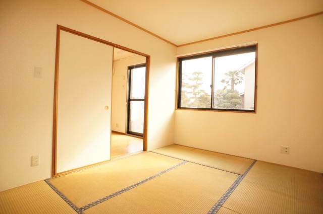 Living and room. Sunny Japanese-style room