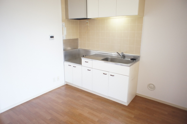 Kitchen. Bright flooring kitchen