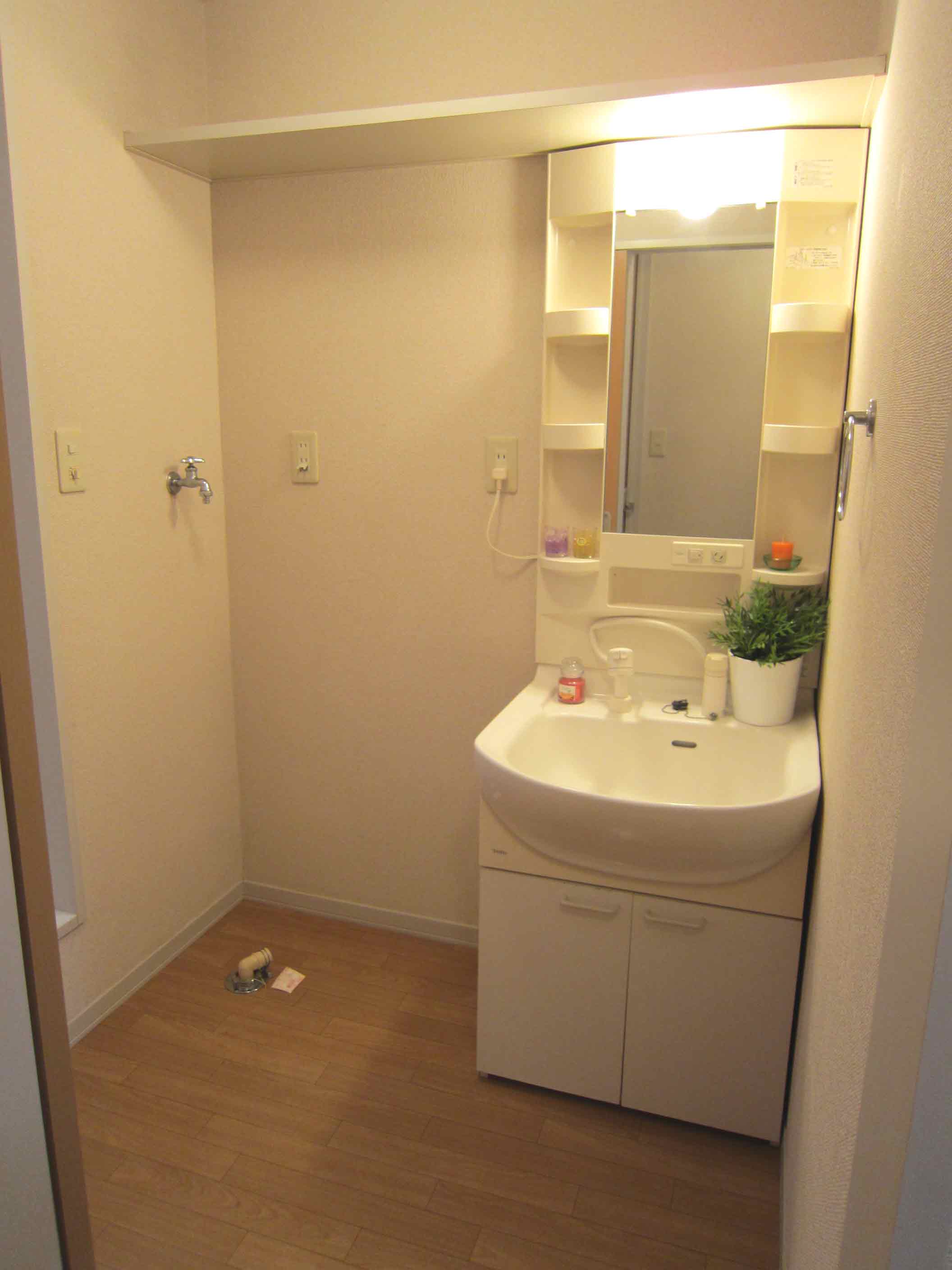 Washroom. Bathroom vanity