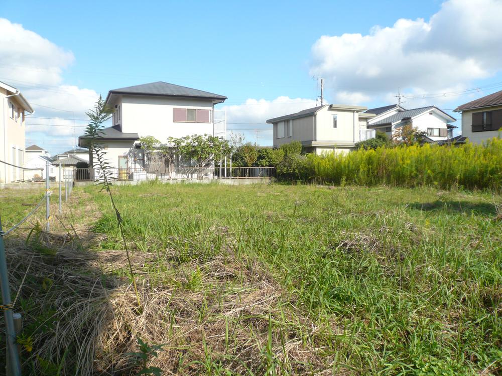 Local land photo. Local (10 May 2013) Shooting