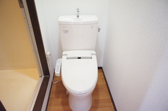 Toilet. With a bidet?