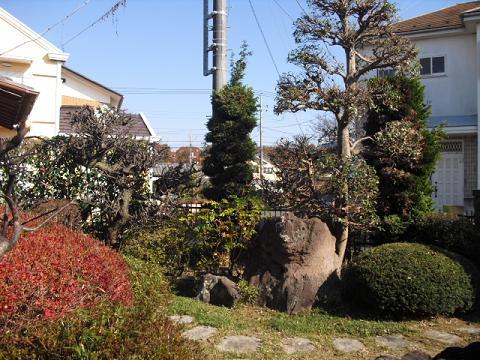 Garden. Local (11 May 2013) Shooting