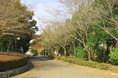 park. Ushiku Sports Park until the (park) 1734m