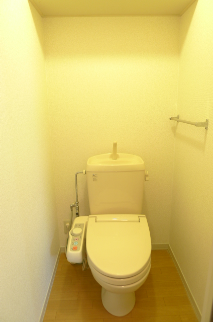 Toilet. Washlet toilet