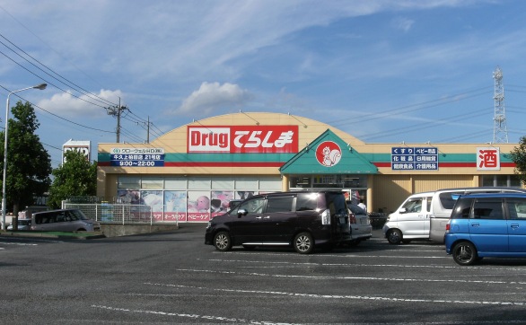Dorakkusutoa. Uerushia Ushiku Kamikashiwada shop 707m until (drugstore)