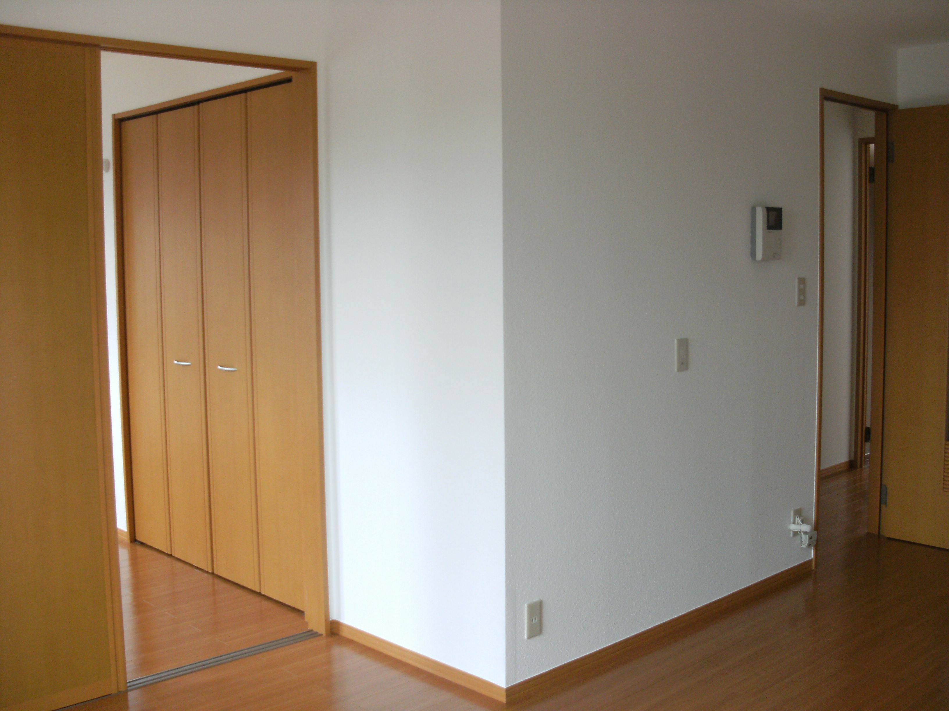 Living and room.  ※ closet