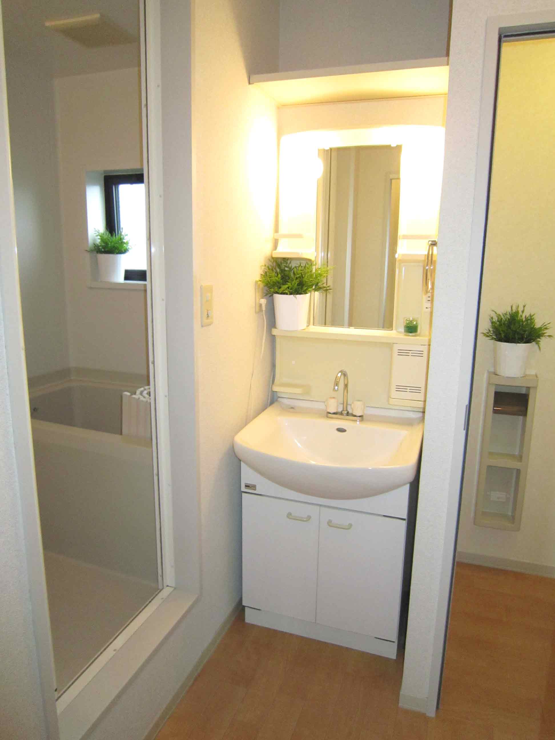 Washroom. Bathroom vanity