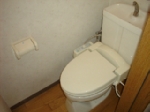 Other. Bidet with toilet