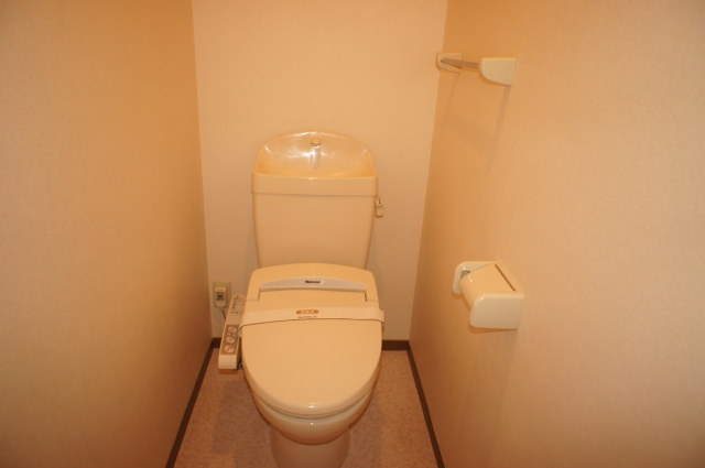 Toilet. With Washlet