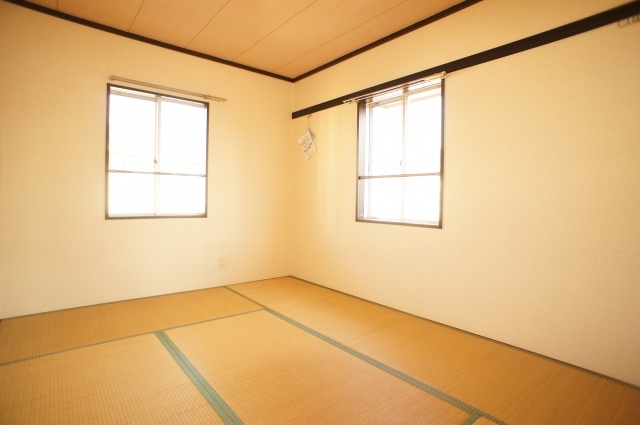 Living and room. Two-sided lighting Japanese-style room