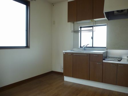 Kitchen. Bright DK