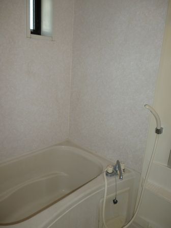 Bath. With window