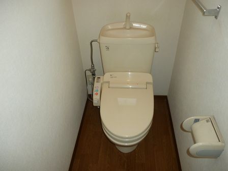 Toilet. With warm water washing toilet seat