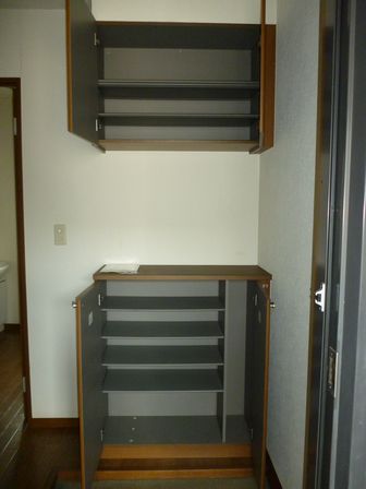 Entrance. Entrance shoes BOX