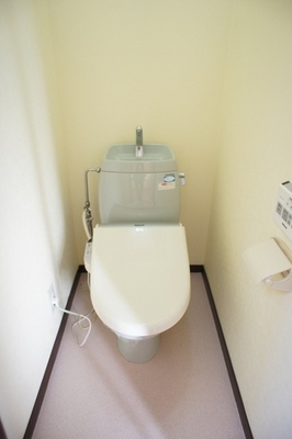 Toilet. It is with warm water washing toilet seat