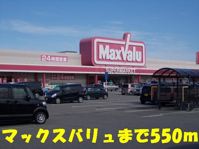Supermarket. Maxvalu until the (super) 550m