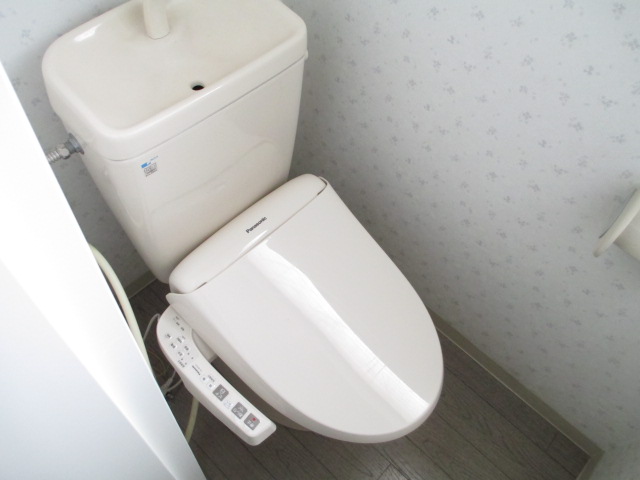 Toilet. It is with warm water washing heating toilet seat.