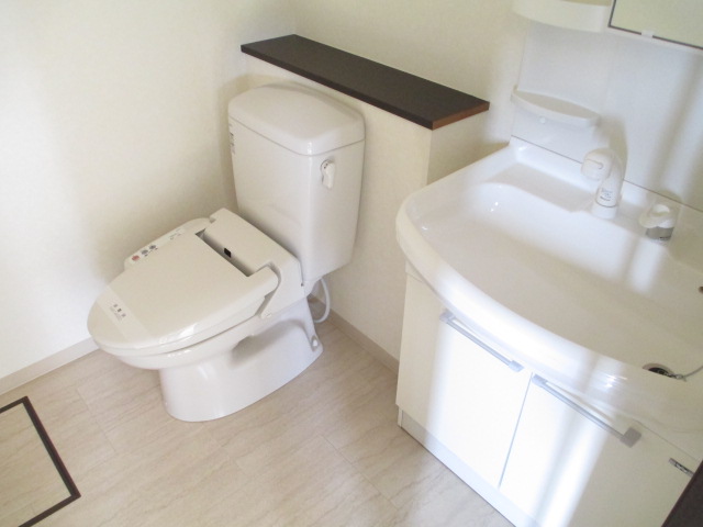 Toilet. In warm water washing heating toilet seat, Vanity shower
