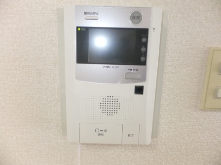 Security. Monitor with a intercom.