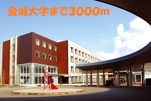 University ・ Junior college. Kinjo University (University ・ 3000m up to junior college)
